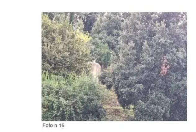 Immobile in asta di 3700 m² in vendita a Oppido Mamertina - Foto 10