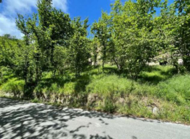 Immobile in asta di 116 m² in vendita a Tortorici - Foto 12
