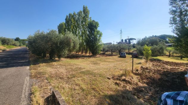 TERRENO AGRICOLO RIF. T1/2494 - Foto 5