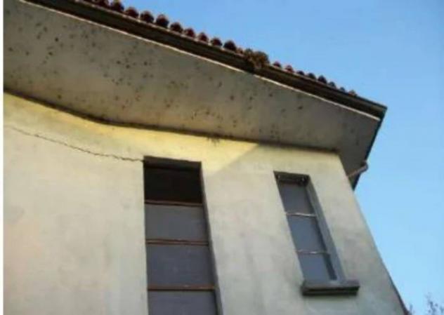 Immobile in asta di 370 m² con più di 5 locali in vendita a Semiana - Foto 2