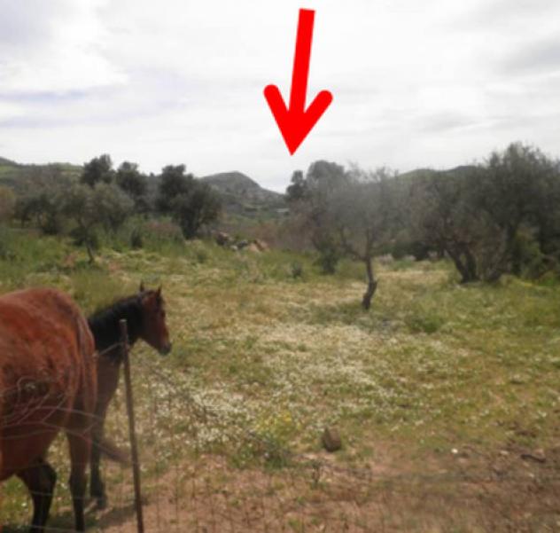 Immobile in asta di 1342 m² in vendita a Baucina - Foto 8