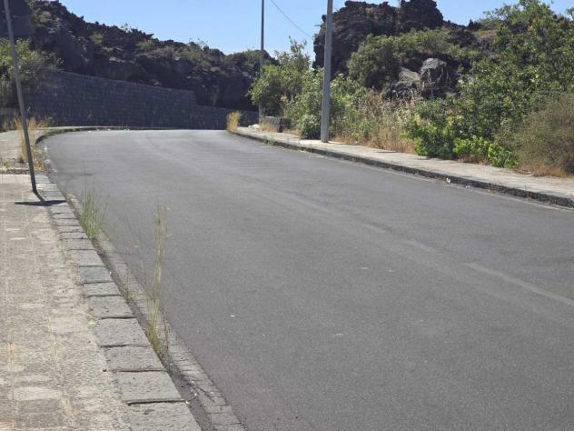 Uliveto in vendita a Camporotondo Etneo - Foto 5