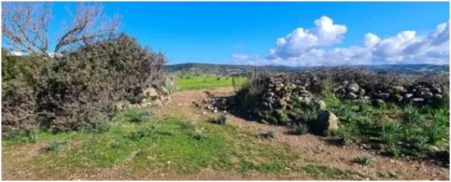 Immobile in asta di 22900 m² in vendita a Fordongianus - Foto 7