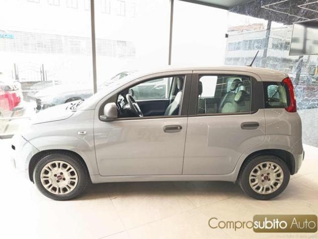 FIAT Panda 1.0 FireFly S&S Hybrid Easy rif. 23814634 - Foto 6