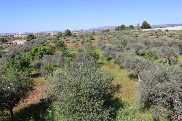 Villa singola in vendita a Chiaramonte Gulfi, Roccazzo - Foto 19