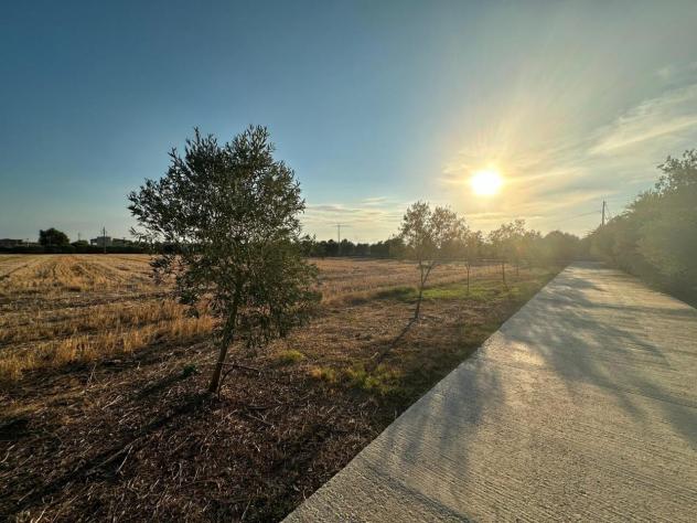 Villa in vendita a Siracusa - Foto 4