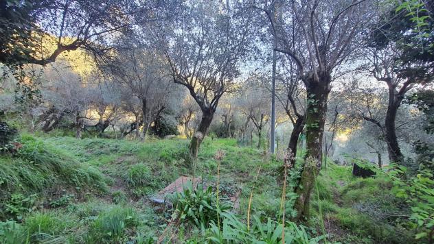 Agricolo in vendita a La Spezia - Foto 16
