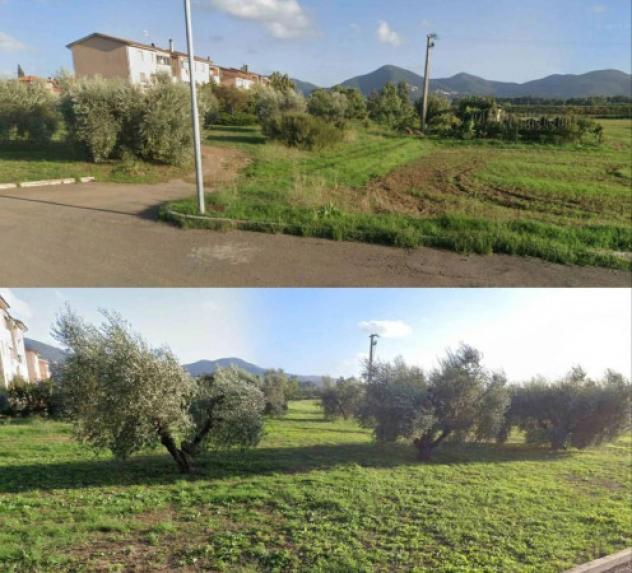 Immobile in asta di 3906 m² in vendita a Scarlino - Foto 3