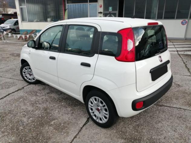 FIAT Panda 1.0 GSE S&S Hybrid Pop Van 2 posti rif. 23820160 - Foto 5