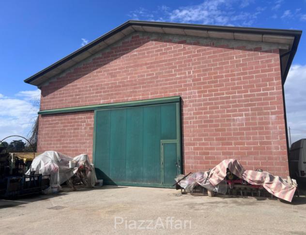 Magazzino a Campolongo Maggiore - Rif. CAMP20