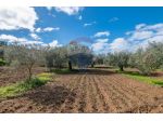 Terreno in vendita a Caltagirone