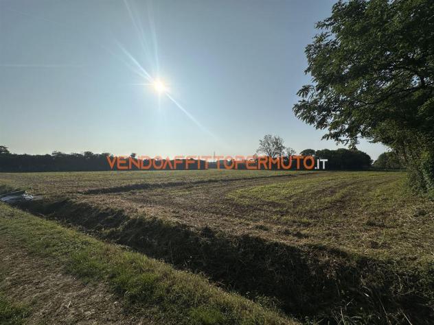 TERRENO AGRICOLO 4.400MQ - Foto 12