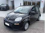 FIAT Panda 3ª serie 1.0 FireFly S&S Hybrid