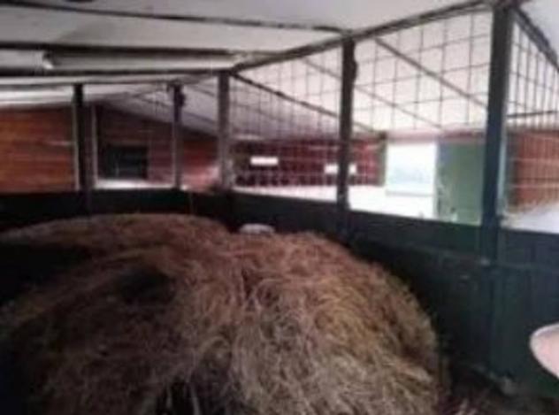 Immobile in asta di 293909 m² in vendita a Montefelcino - Foto 7