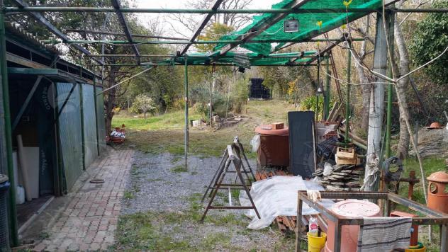 Alassio, terreno di circa 6.000 mq. con progetto per costruire una villa. - Foto 16
