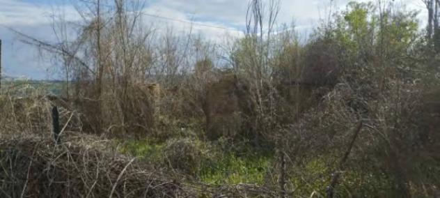 Immobile in asta di 2280 m² in vendita a Roseto degli Abruzzi - Foto 7