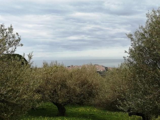 Terreno verde agricolo vista mare - Foto 5
