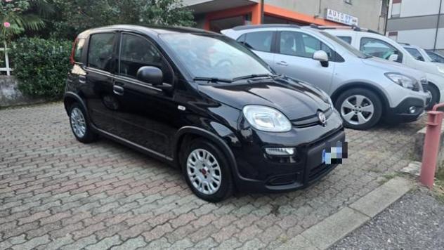 FIAT Panda 1.0 FireFly S&S Hybrid rif. 24146726 - Foto 3