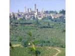 Borgo Montauto