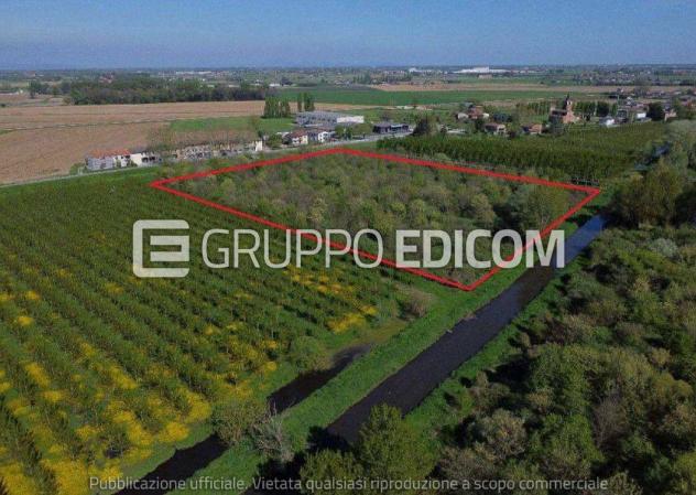 Terreno di 29309 mq in vendita a Cerea - Rif. 4549341