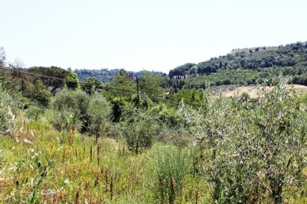 Orvieto - Vendesi terreno di circa 5500 mq nelle immediate vicinanze della rupe di Orvieto - Foto 2