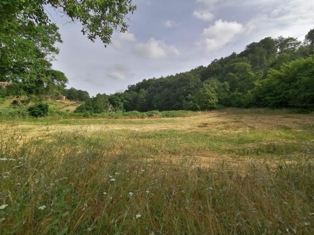Nella campagna del comune di Sorano, precisamente nella frazione di Montebuono, vendiamo immobile con magazzini vari per un totale di 110mq e piccolo - Foto 8