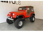 JEEP CJ-5 CJ-5 5.0 V8 rif. 23868592
