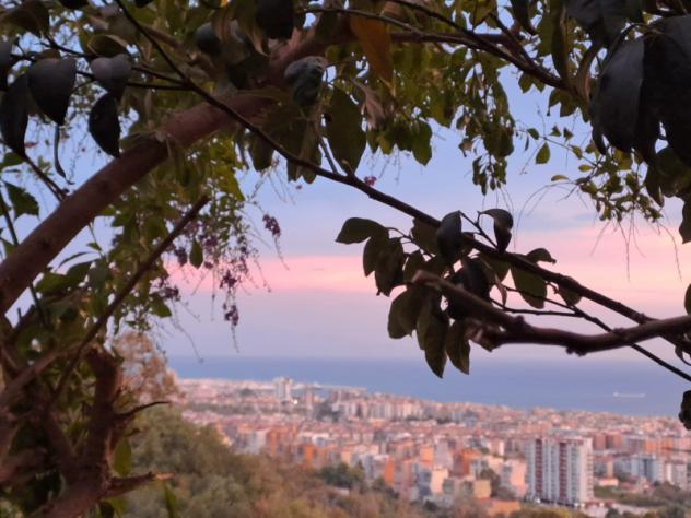 Appartamento in Viale dei Pioppi