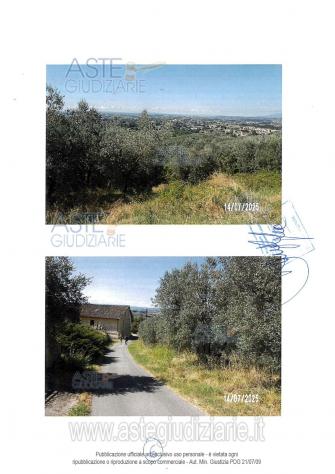 IMMOBILI-ALTRA CATEGORIA-Via di Capalle, 51035 Lamporecchio PT, Italia - Foto 7