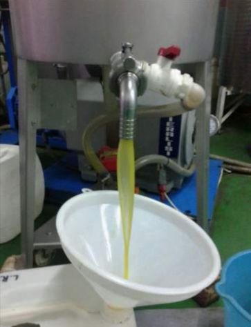 Olio extra vergine di oliva - Foto 6