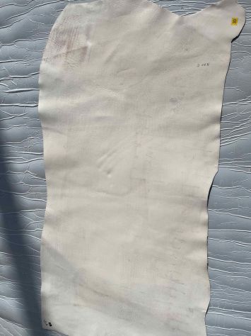 Pelle a vegetale bottalata per pittura artistica – SP. 1,5