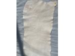 Pelle a vegetale bottalata per pittura artistica – SP. 1,5