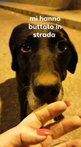 Dylan 13 anni buttato in strada