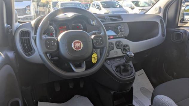 FIAT Panda Hybrid Firefly 1.0cc 70cv Citylife rif. 24205042 - Foto 5