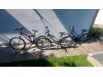 Lotto di 4 biciclette Mountain Bike