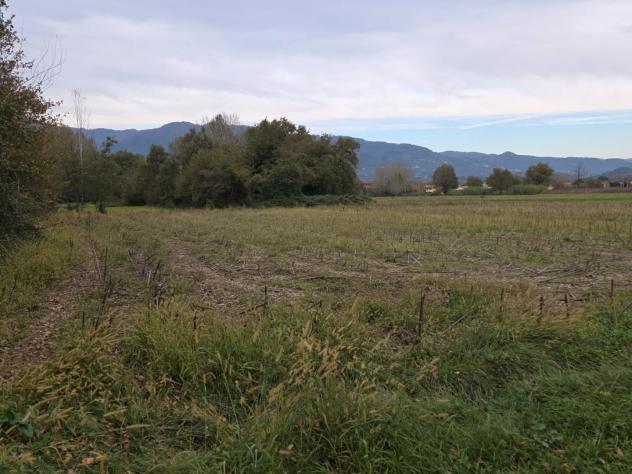 Terreno agricolo in vendita a Segromigno In Piano - Capannori 2000 mq Rif: 1383536 - Foto 3