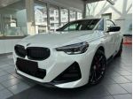 BMW 240 M 240i xDrive rif. 24161858