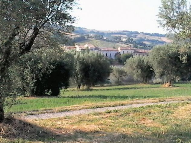 Casale con terreno nel comune di Campli (Te) - Foto 3