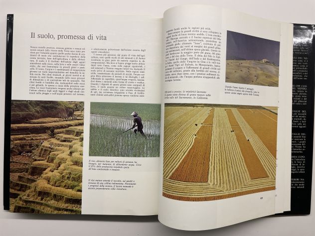 Meraviglie e misteri della natura intorno a noi - Foto 5