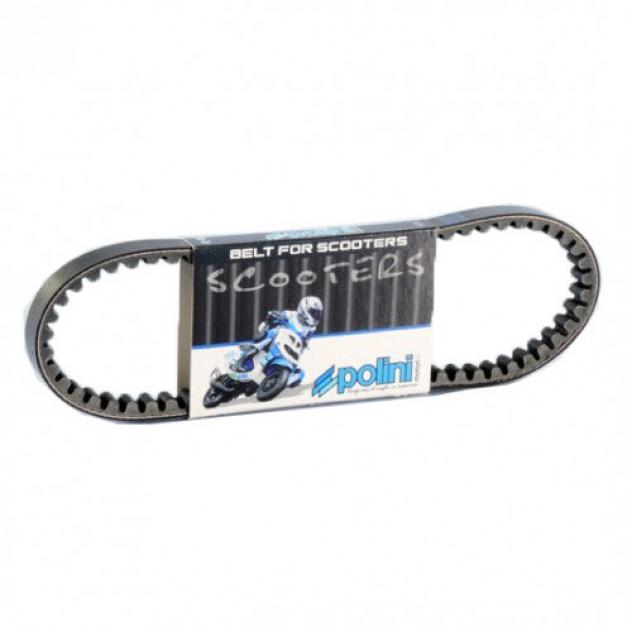 Cinghia variatore Polini per Minarelli orrizzontale 248003