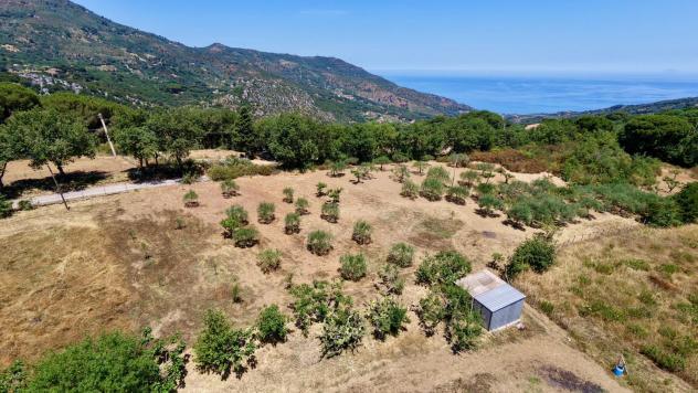 Agricolo in Contrada Vignale - Foto 4