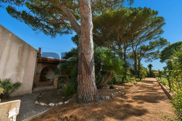 Cascina/Casale in vendita a Messina, Castanea Massa Tono Ortoliuzzo - Foto 18