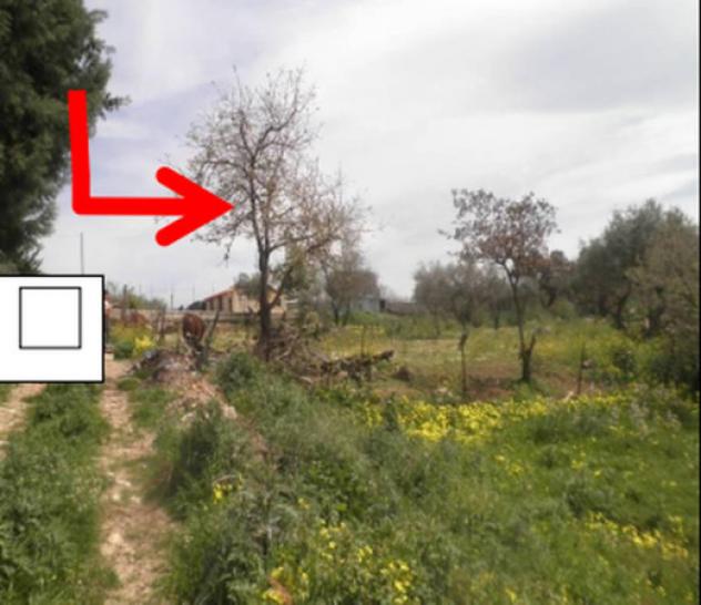 Immobile in asta di 1342 m² in vendita a Baucina - Foto 7