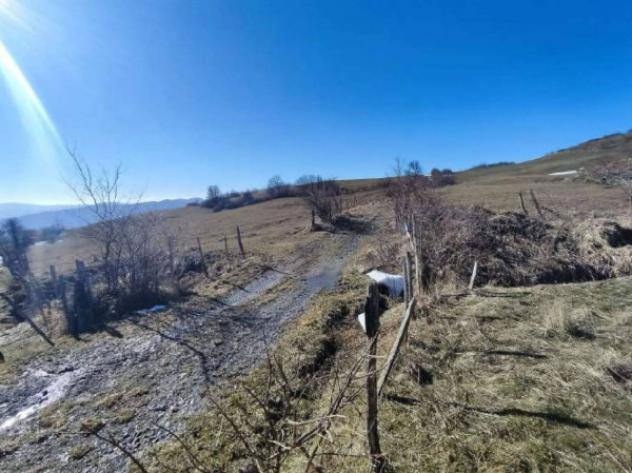 Immobile in asta di 130855 m² in vendita a Verghereto - Foto 4