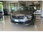 Škoda Kamiq 1.0 TSI 110cv DSG Ambition