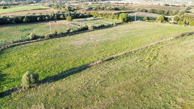Terreno Agricolo in Bracciano - Foto 2