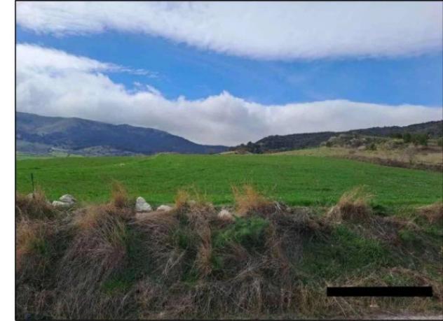 Immobile in asta di 7262 m² in vendita a Castronovo di Sicilia - Foto 6