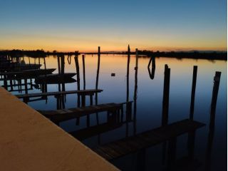 Massaggi - benessere Venezia - Super massaggiatore a domicilio di coppie o signorina/signora Tel:3297662899