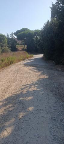 FOLLONICA VENDESI TERRENO AGRICOLO - Foto 4