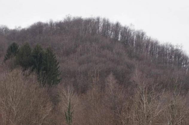 Immobile in asta di 6196 m² in vendita a Valli del Pasubio - Foto 9